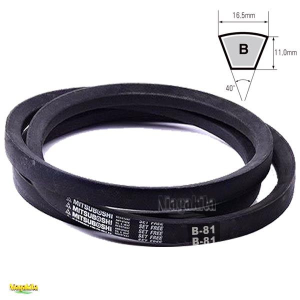 Mitsuboshi V Belt B81
