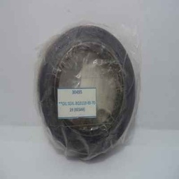 [30495] OIL SEAL BQ3119 45-70-19 (BESAR)
