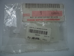 [36321] SGP PLAT MEMBRAN RGR