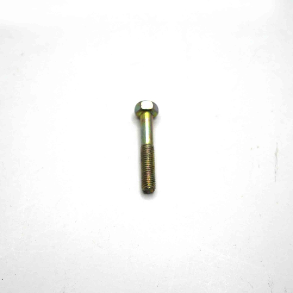 G21 HEX H.SCREW M5X30 Z4 CS 0.