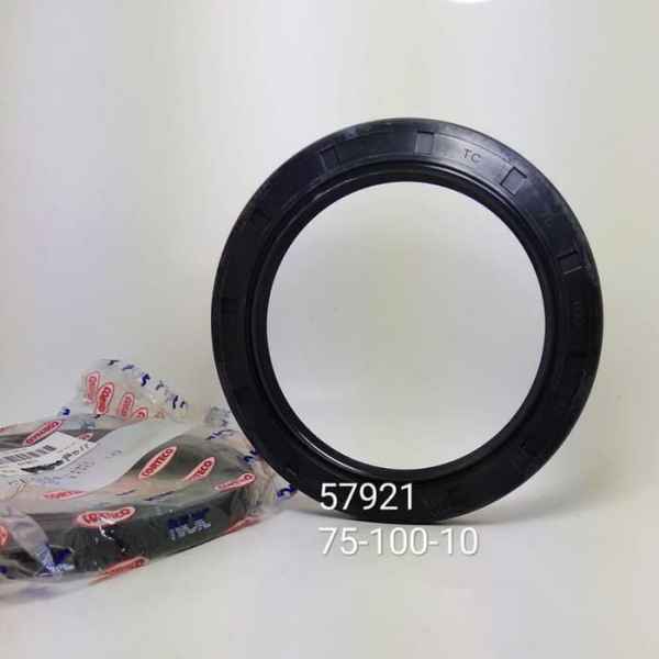 SEAL 75-100-10 (ISI 10)TC NOK