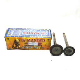 [51753] MST VALVE IN/EX DIESEL R185 - R11B5L2